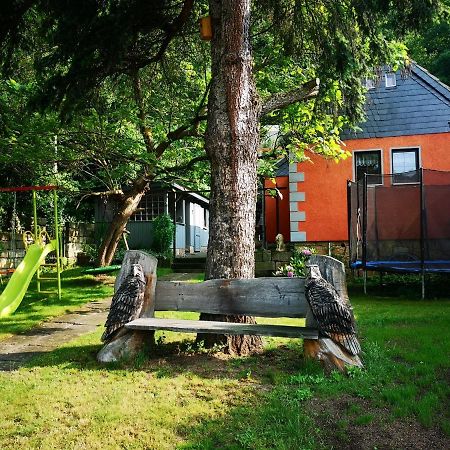 Ferienhaus Franz - An Der Elbe, Mit Grossem Garten Pirna Exterior photo