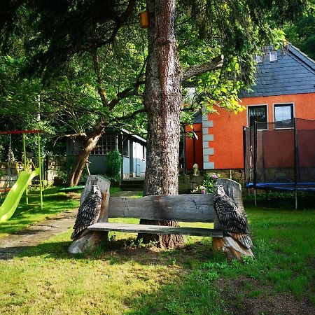 Ferienhaus Franz - An Der Elbe, Mit Grossem Garten Villa Pirna Exterior photo