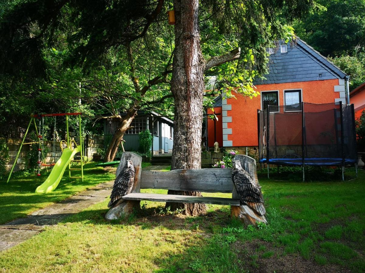 Ferienhaus Franz - An Der Elbe, Mit Grossem Garten Pirna Exterior photo